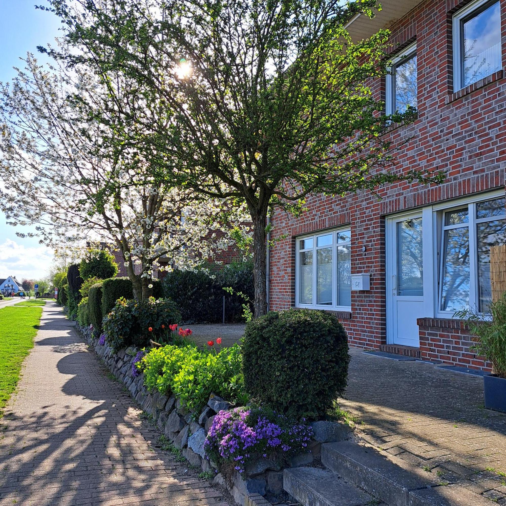 Seeliebe, 300 Meter Zum Wasser, Mit Terrasse Und Garten Lembruch Exterior foto